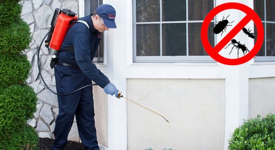 Kapaklı Kene İlaçlama böcek ilaçlama ve haşere kontrolü — ilaclama-tr.com